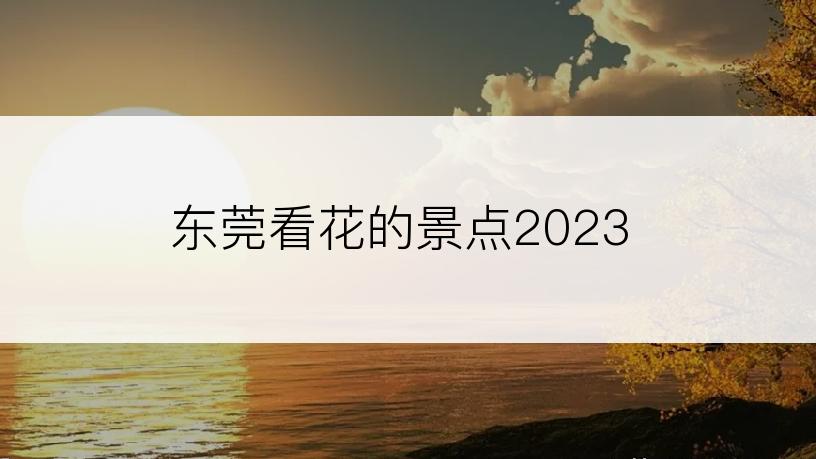 东莞看花的景点2023