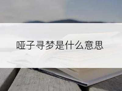 哑子寻梦是什么意思