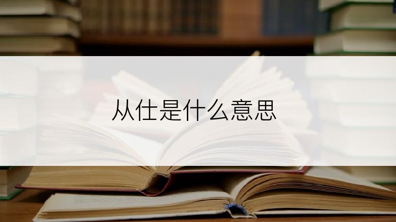 从仕是什么意思