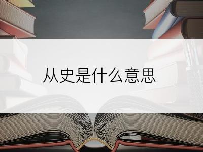 从史是什么意思