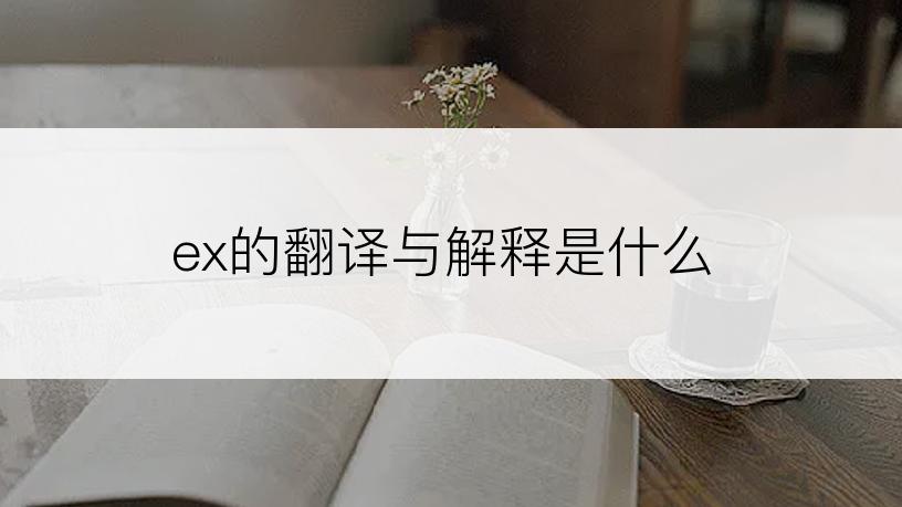 ex的翻译与解释是什么