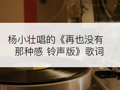 杨小壮唱的《再也没有那种感 铃声版》歌词