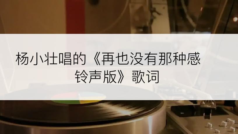 杨小壮唱的《再也没有那种感 铃声版》歌词