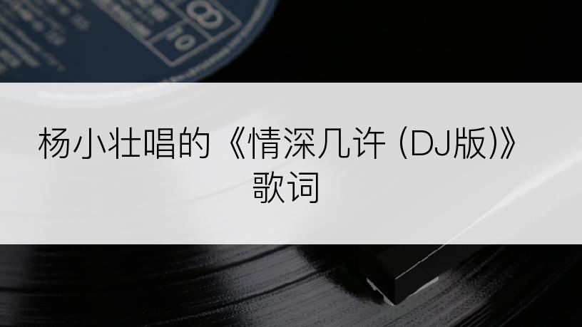 杨小壮唱的《情深几许 (DJ版)》歌词