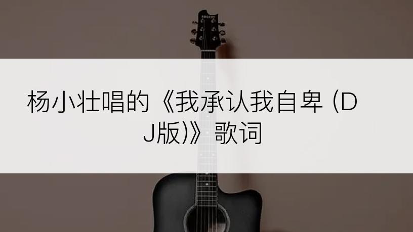 杨小壮唱的《我承认我自卑 (DJ版)》歌词