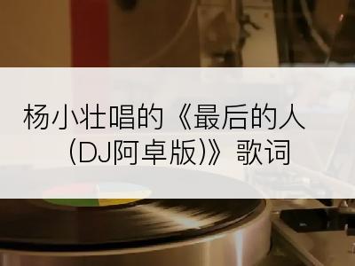 杨小壮唱的《最后的人 (DJ阿卓版)》歌词