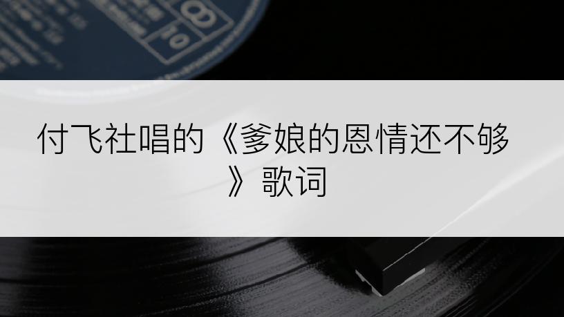 付飞社唱的《爹娘的恩情还不够》歌词