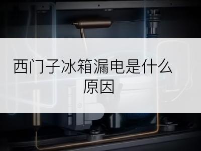 西门子冰箱漏电是什么原因