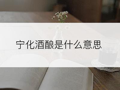 宁化酒酿是什么意思