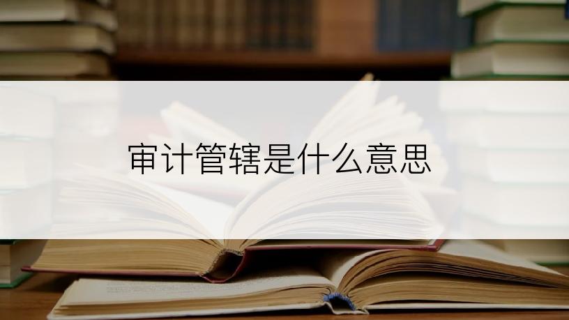 审计管辖是什么意思