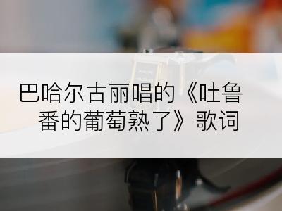 巴哈尔古丽唱的《吐鲁番的葡萄熟了》歌词