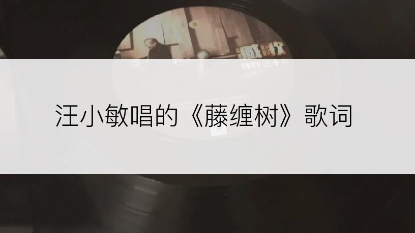 汪小敏唱的《藤缠树》歌词