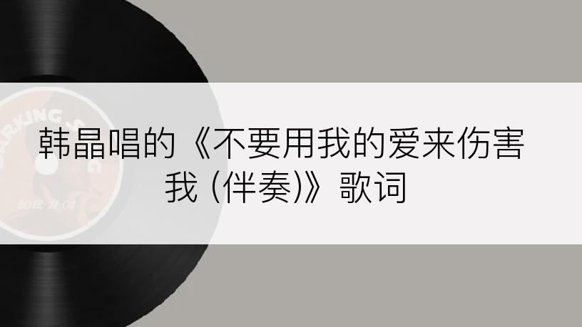 韩晶唱的《不要用我的爱来伤害我 (伴奏)》歌词