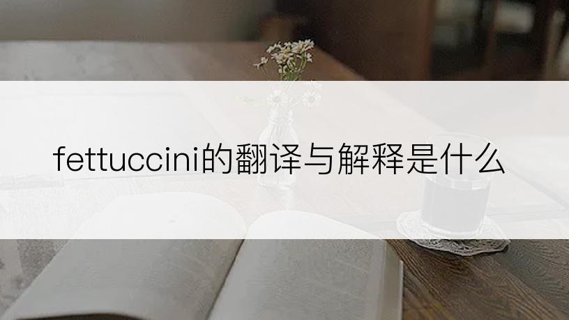 fettuccini的翻译与解释是什么