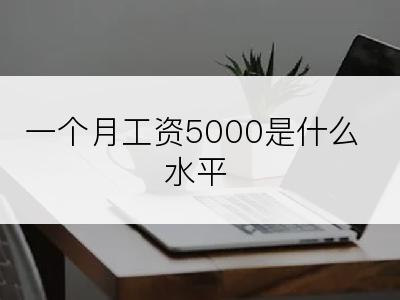 一个月工资5000是什么水平