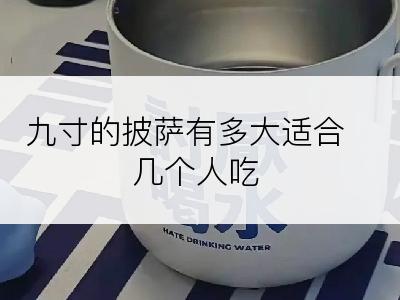 九寸的披萨有多大适合几个人吃