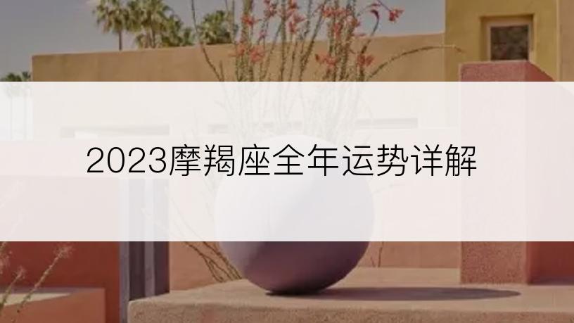 2023摩羯座全年运势详解