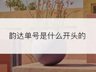 韵达单号是什么开头的