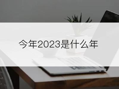 今年2023是什么年