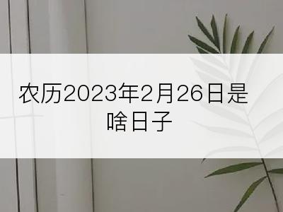 农历2023年2月26日是啥日子