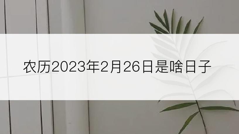 农历2023年2月26日是啥日子