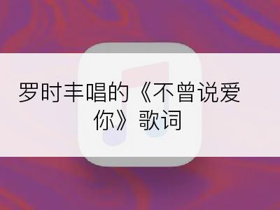 罗时丰唱的《不曾说爱你》歌词