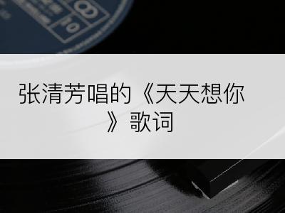 张清芳唱的《天天想你》歌词