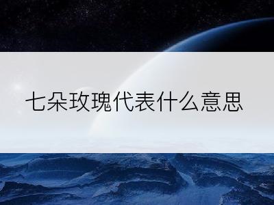 七朵玫瑰代表什么意思