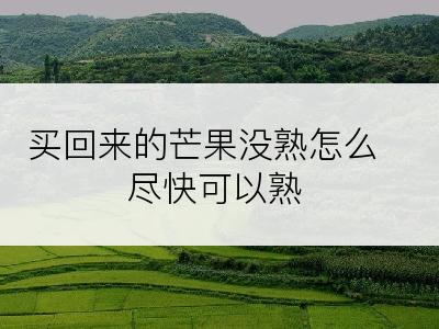 买回来的芒果没熟怎么尽快可以熟