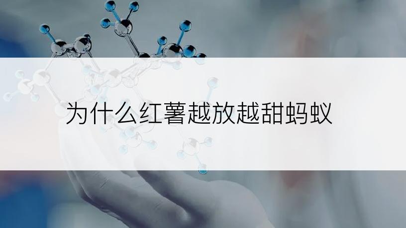 为什么红薯越放越甜蚂蚁