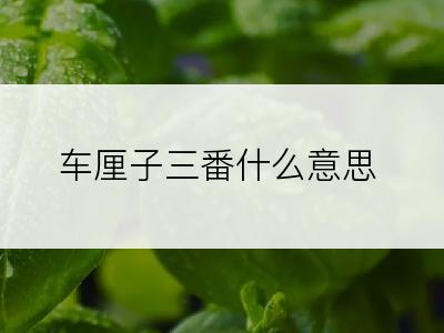 车厘子三番什么意思