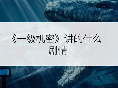 《一级机密》讲的什么剧情