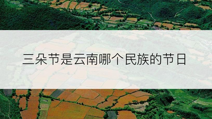 三朵节是云南哪个民族的节日