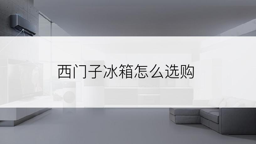 西门子冰箱怎么选购