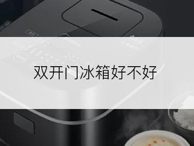 双开门冰箱好不好