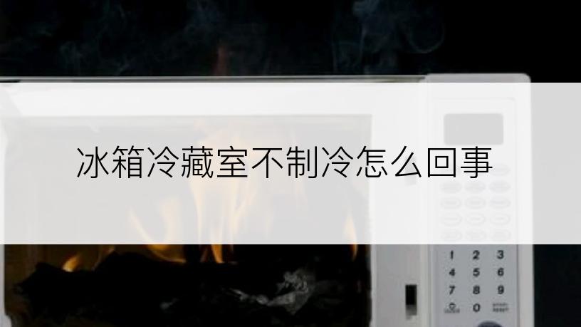 冰箱冷藏室不制冷怎么回事