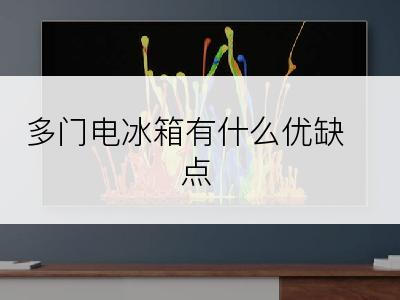 多门电冰箱有什么优缺点