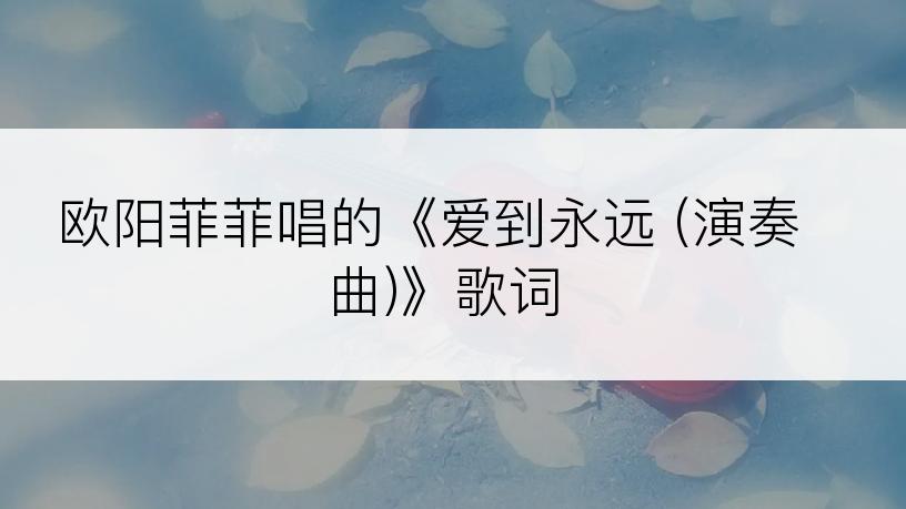 欧阳菲菲唱的《爱到永远 (演奏曲)》歌词