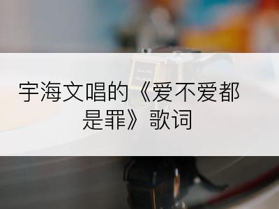 宇海文唱的《爱不爱都是罪》歌词