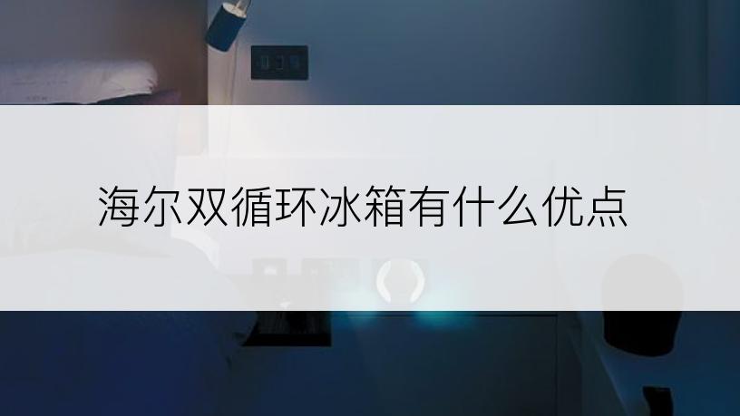 海尔双循环冰箱有什么优点