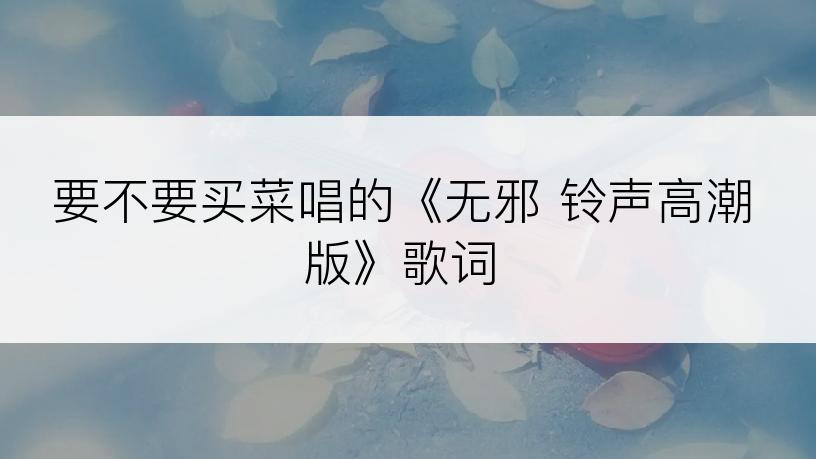 要不要买菜唱的《无邪 铃声高潮版》歌词