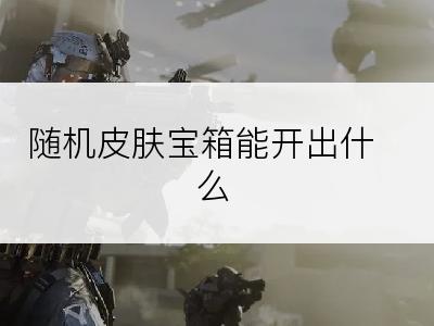 随机皮肤宝箱能开出什么