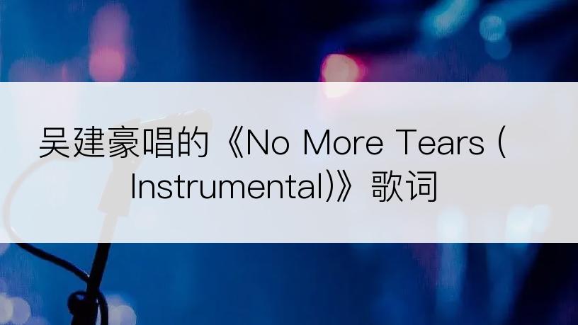 吴建豪唱的《No More Tears (Instrumental)》歌词