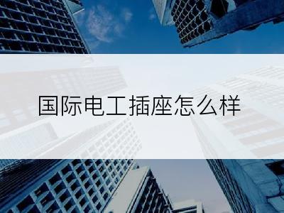 国际电工插座怎么样