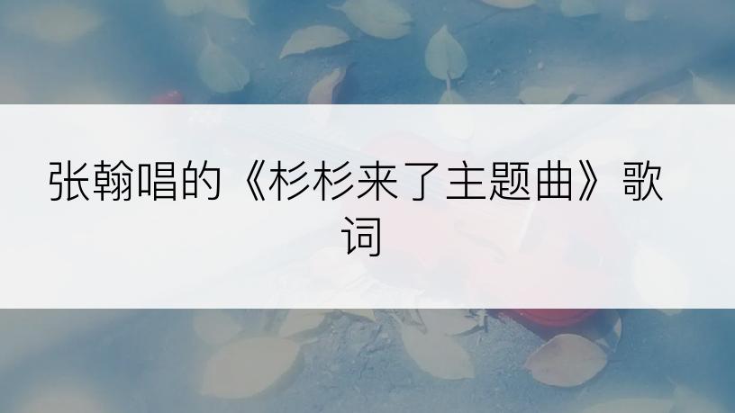 张翰唱的《杉杉来了主题曲》歌词