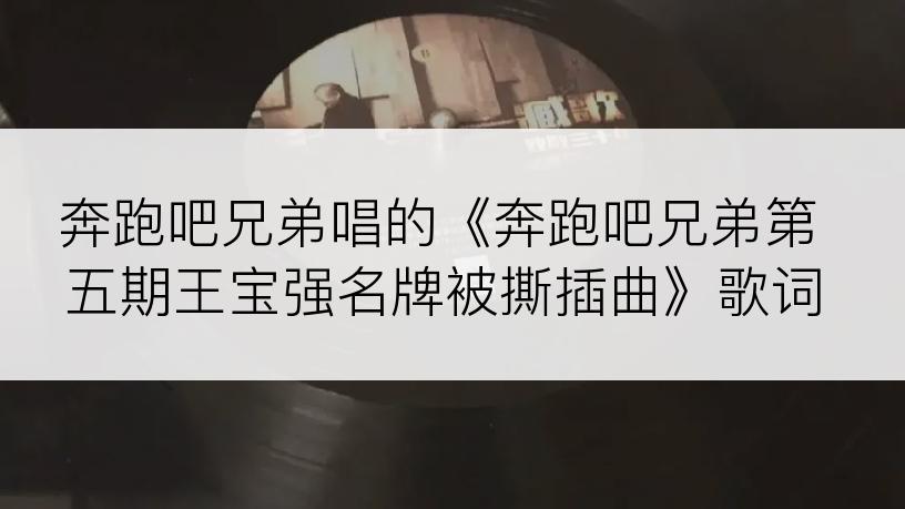 奔跑吧兄弟唱的《奔跑吧兄弟第五期王宝强名牌被撕插曲》歌词