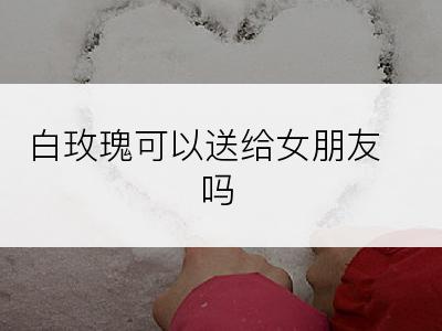 白玫瑰可以送给女朋友吗