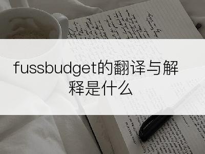 fussbudget的翻译与解释是什么