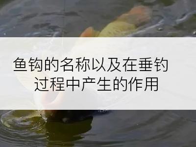 鱼钩的名称以及在垂钓过程中产生的作用