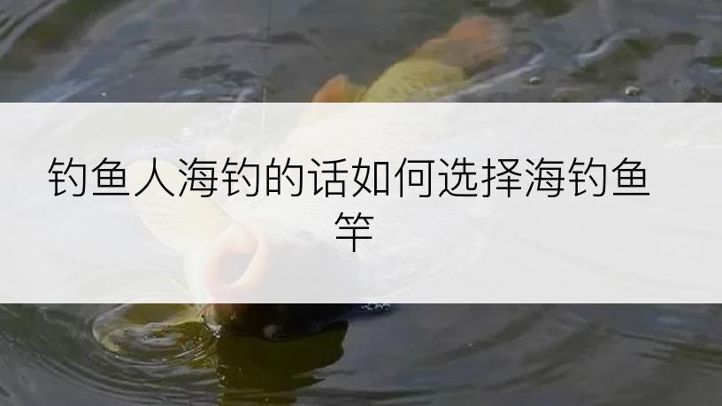 钓鱼人海钓的话如何选择海钓鱼竿